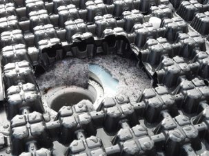 Errichtung eines Gründachs Errichtung eines Gründachs