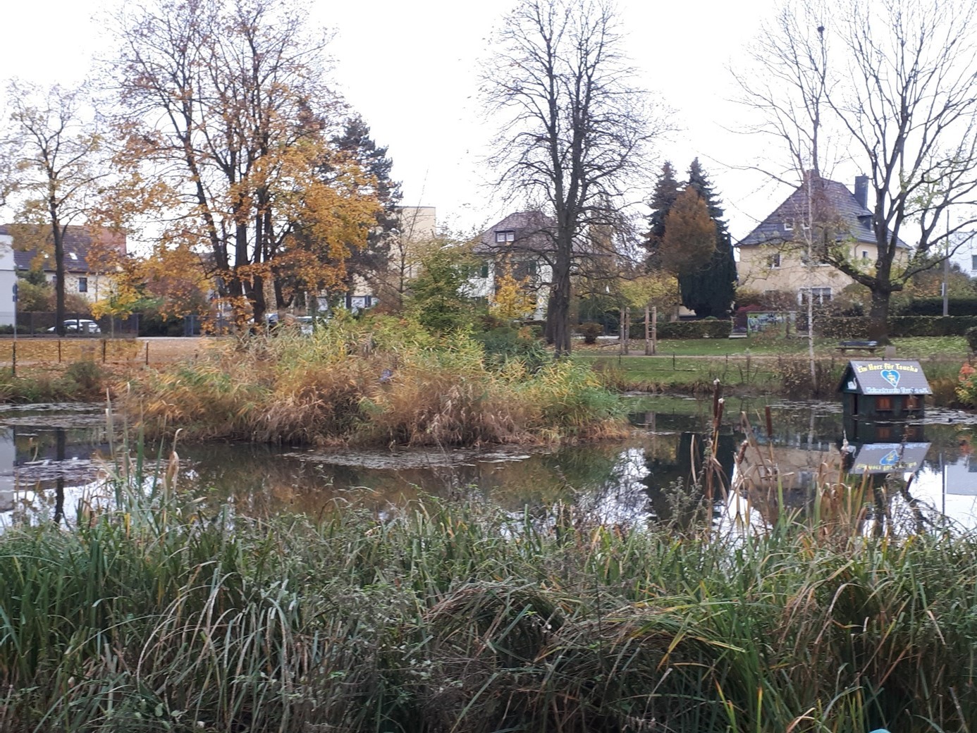 Am Kleinen Schöppenteich