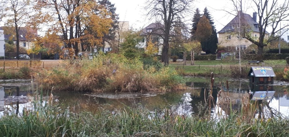 Am Kleinen Schöppenteich