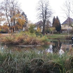 Am Kleinen Schöppenteich